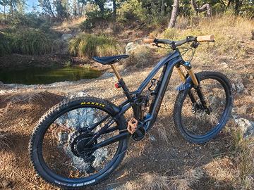 ebike