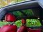 Immagine 26