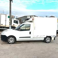 camion fiat doblo cella frigo -20