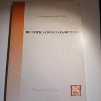 identificazione parametrica-De Nicolao Scattolini