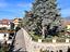 Immagine 12