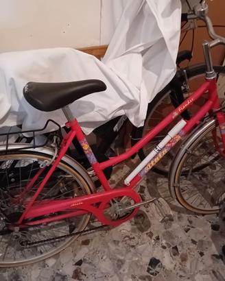 Bicicletta