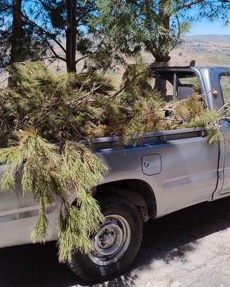 Toyota hilux pick up 2WD 240.000 km