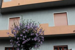 Attico / Mansarda di 170 m² con 5 locali e box aut