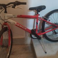 Bicicletta mountain-bike