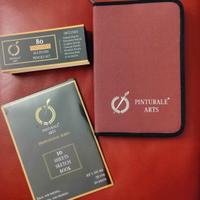 Set Completo di Matite Artistiche PINTURALE ARTS