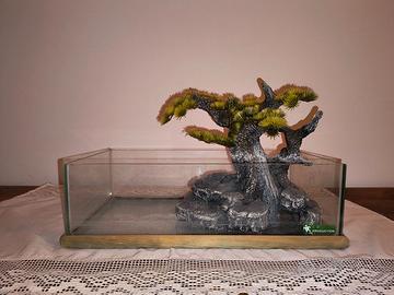 Acquario per tartarughe
