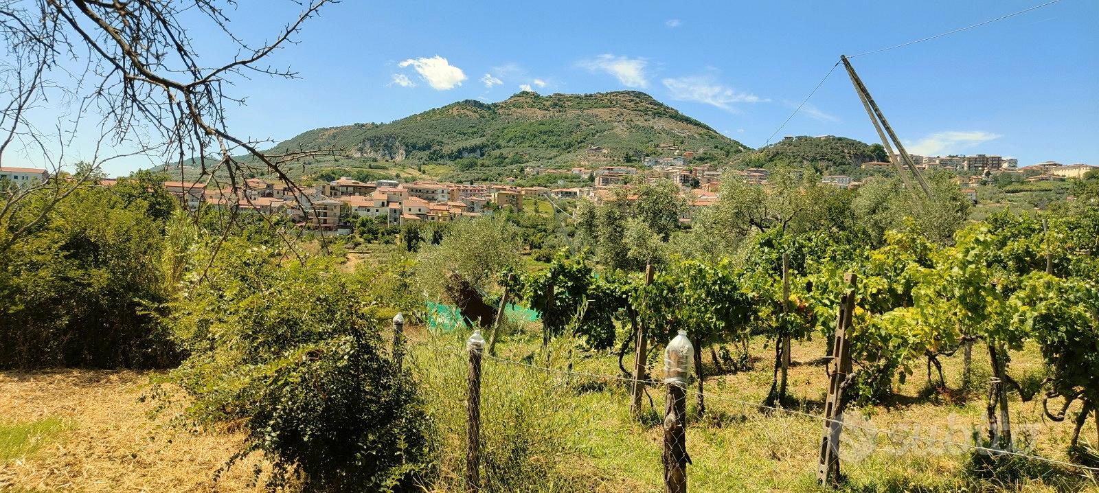 Terreno frutteto Salerno - Altro