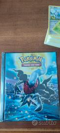 carte Pokemon e raccoglitore Pokémon 