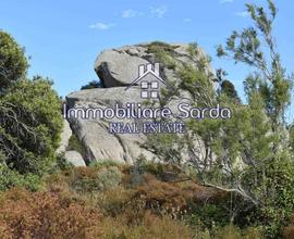 Terreno Agricolo - Arzachena