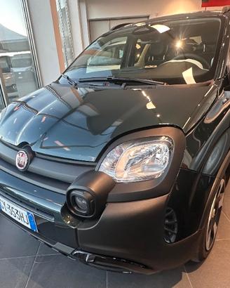 FIAT Panda 3ª serie Panda 1.0 FireFly S&S Hybr...