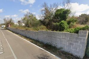 Terreno uliveto / comparto R3A