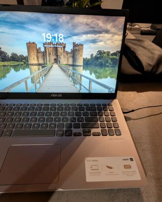 ASUS VivoBook X509MA Notebook 15" Windows 11 
