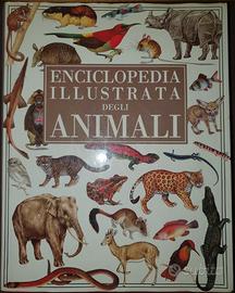 Enciclopedia Illustrata degli animali - Paypal