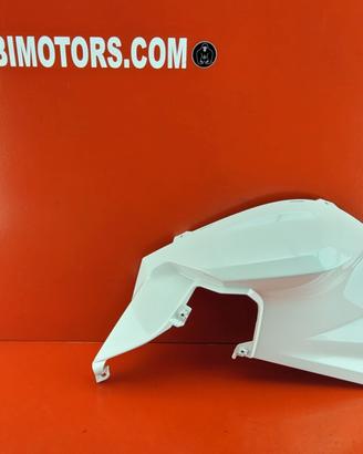 CARENA SX BMW F800R F 800 R