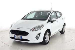 Ford Fiesta 5p 1.5 ecoblue Business High