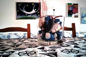 Torvaianica centro 200mt dalla spiaggia