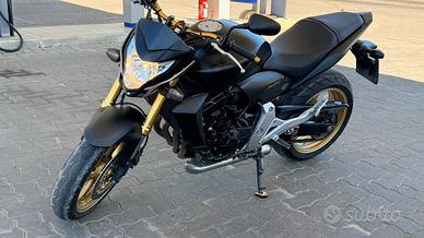 Honda CB600F Hornet 600 anno 2012 – Mat Cynos