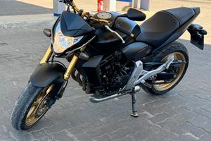 Honda CB600F Hornet 600 anno 2012 – Mat Cynos