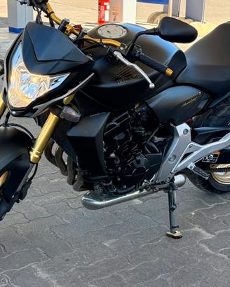 Honda CB600F Hornet 600 anno 2012 – Mat Cynos
