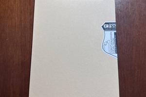 Vetro temperato per Toyota CHR