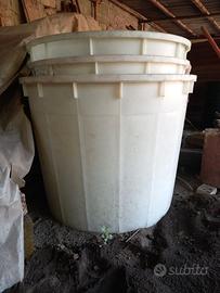 Mastelli per raccolta d uva