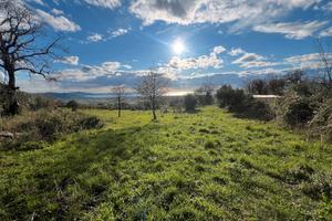 Terreno agricolo - collina di capaccio paestum