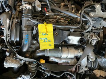MOTORE T1DB 1.6 TD FORD