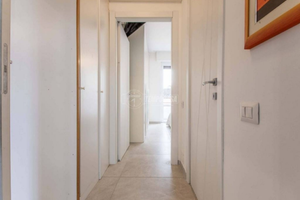 Luminoso appartamento