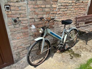 MOSCHITO