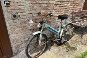 MOSCHITO