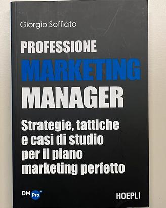 G. Soffiato : Professione marketing manager