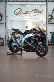 Kawasaki ZX 10 Special Pista anno 2004