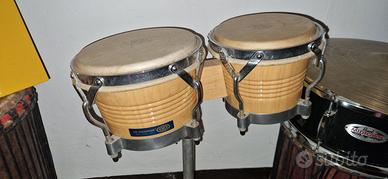 Bongos supercussion