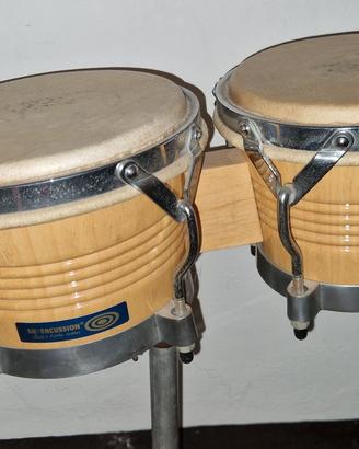 Bongos supercussion