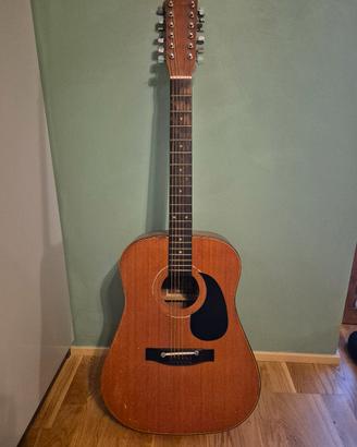 chitarra 12 corde