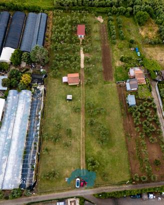 Zagarolo: terreno con rustico e azienda agricola