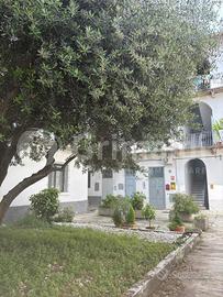 Appartamento Monza [25/25VRG]