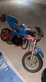 Mini moto