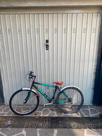 Bicicletta uomo sfumata