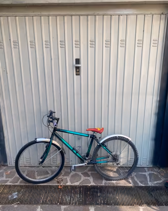 Bicicletta uomo sfumata