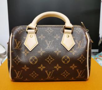 Borsa a mano LOUIS VUITTON Speedy 20