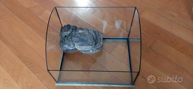 acquario tartarughiera