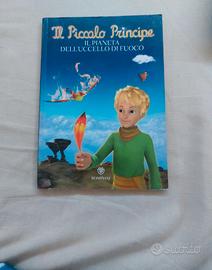 Il piccolo principe, pianeta dell'uccello di fuoco