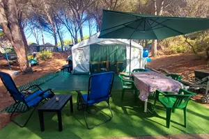 Roulotte + Maxi Gazebo 6x4  Attrezzato di tutto
