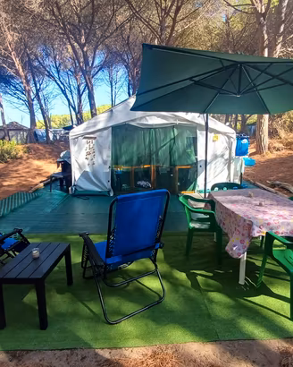 Roulotte + Maxi Gazebo 6x4  Attrezzato di tutto