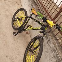 Wheelie bike