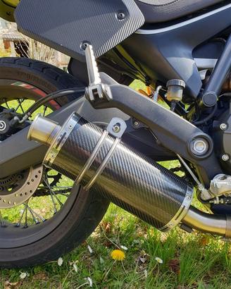 Short Carbon Roadsitalia Ducati Scrambler 800
