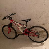 Bicicletta bimbo 8:10 anni