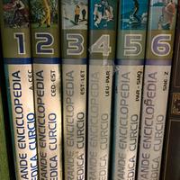Grande Enciclopedia Medica Curcio” in 6 volumi